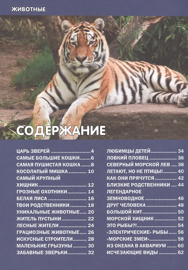 Книга Животные мира. Детская энциклопедия () — 2