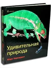 Удивительная природа.