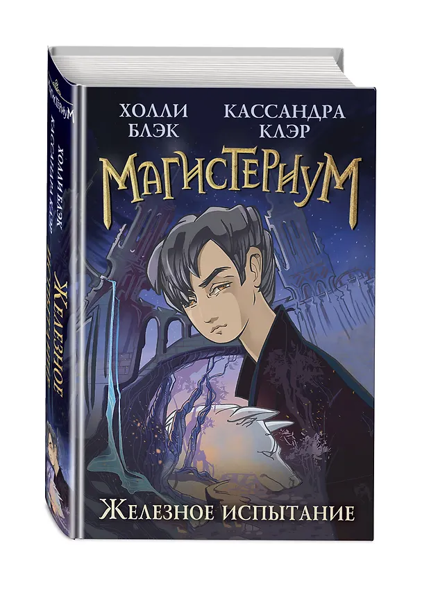 Книга Железное испытание (Холли Блэк, Кассандра Клэр) — 5
