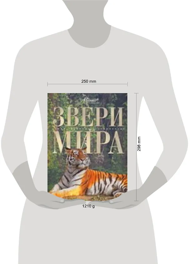 Книга Звери мира (Константин Михайлов) — 2