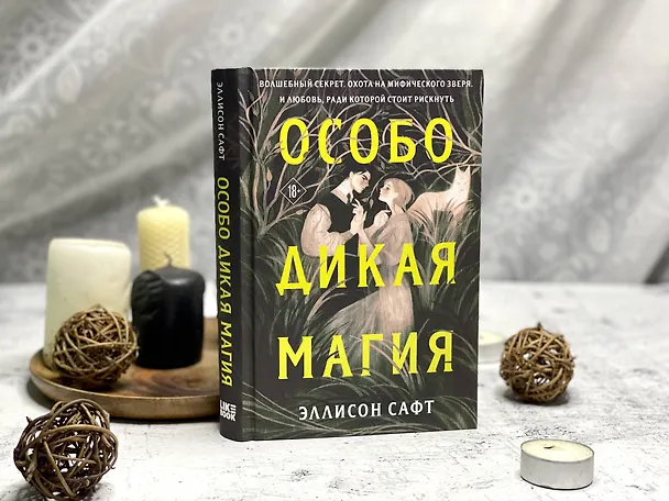 Книга Особо дикая магия (Эллисон Сафт) — 11