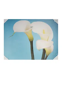 Картина (40х50) (740-260)