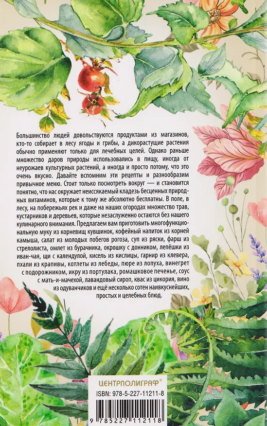 Книга Блюда из дикорастущих растений. Неиссякаемый источник витаминов к вашему столу (Светлана Цветаева) — 2