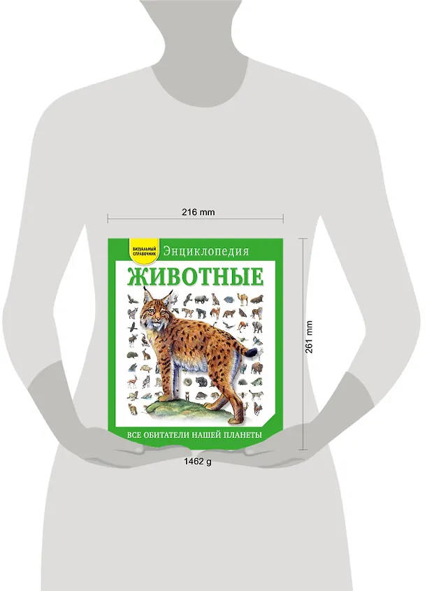 Книга Животные. Все обитатели нашей планеты (Дэвид Элдертон) — 5