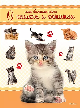 Моя большая книга о кошках и котятах — 2501217 — 1