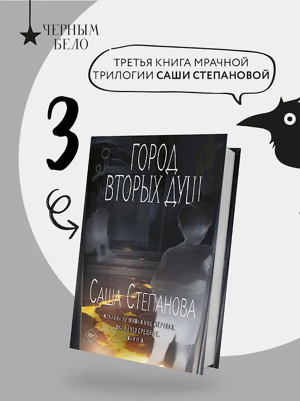 Книга Город вторых душ (Саша Степанова) — 5