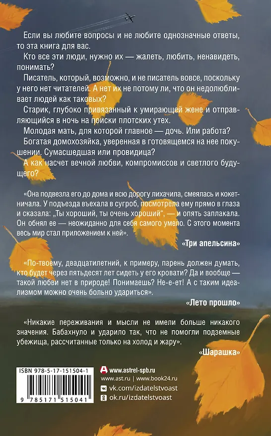 Книга Лето прошло (Ольга Шлихт) — 2