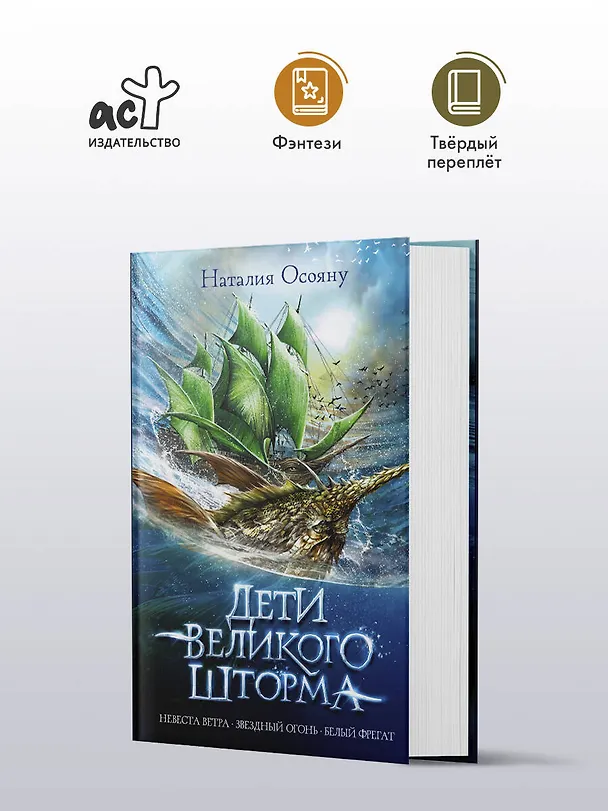 Книга Дети великого шторма (Наталия Осояну) — 4