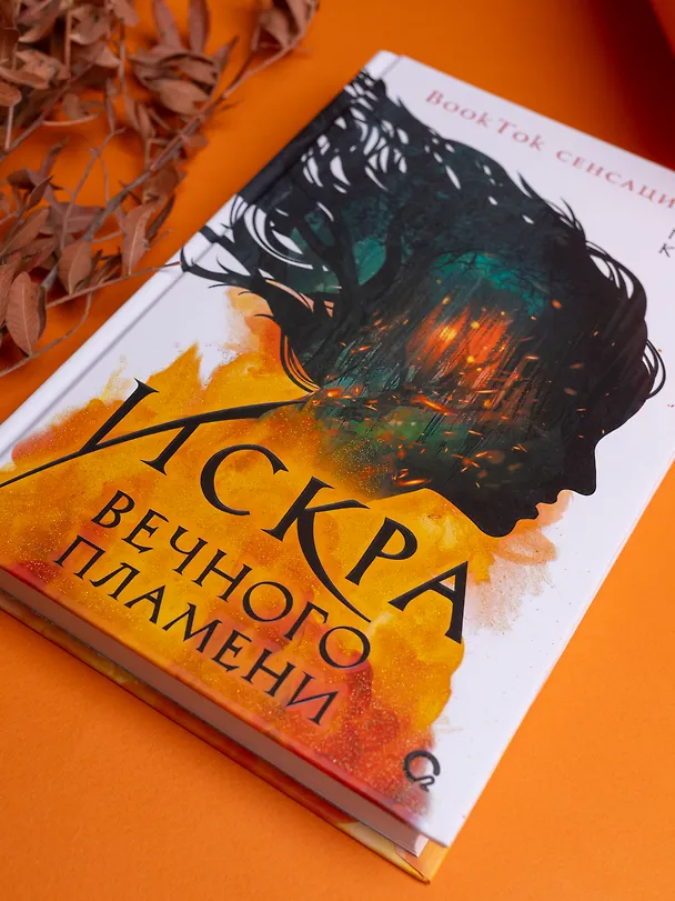 Книга Искра вечного пламени (Пенн Коул) — 4