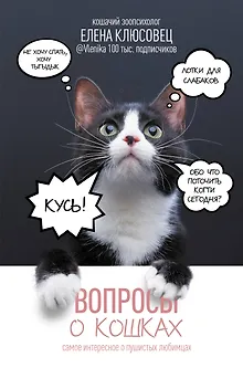 Вопросы о кошках. Самое интересное о пушистых любимцах