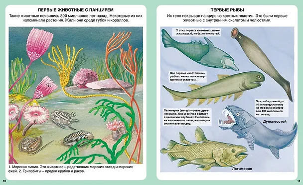 Книга Тайны моря (Эмили Бомон) — 3