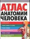 Книга Атлас анатомии человека (Владимир Воробьев)