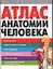 Атлас анатомии человека — 2051515 — 1
