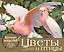 Цветы и птицы в произведениях мирового искусства. Настольный календарь в футляре — 3009212 — 1