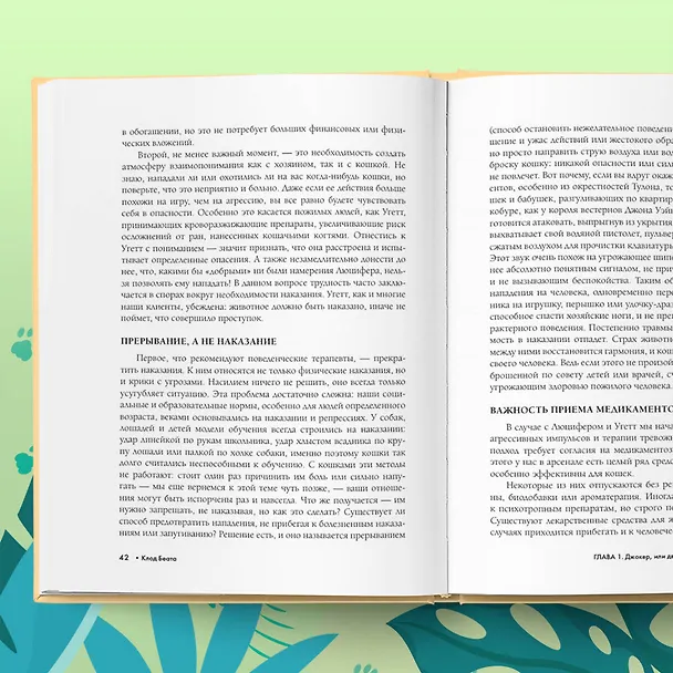 Книга Кошки, которые сводят с ума. Почему кошки психуют и что делать с их проблемным поведением (Клод Беата) — 13