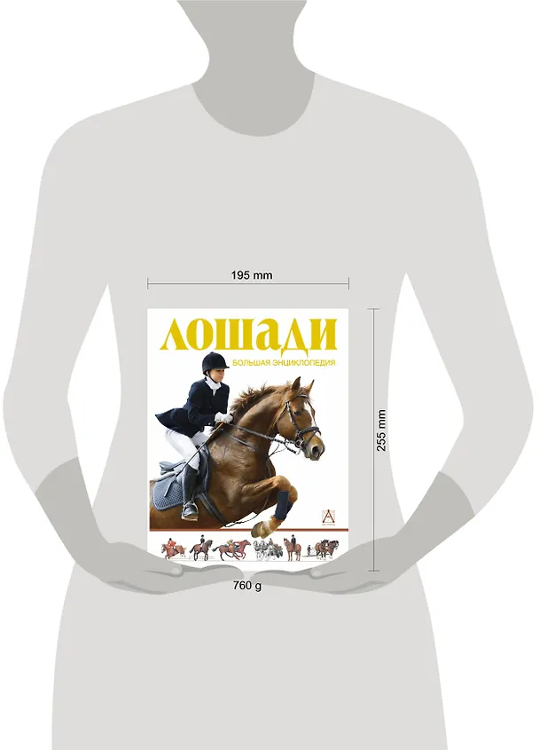 Книга Лошади. Большая энциклопедия (Перри Вуд) — 4