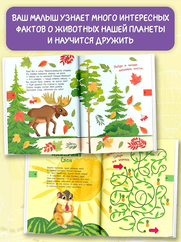 Книга Большая книга квестов и лабиринтов для почемучки (Евгения Ершова) — 8