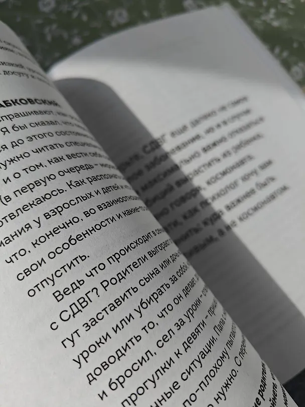 Книга Ребенок-ракета, ребенок-ураган. Руководство по СДВГ для любящих и уставших родителей (Михаил Лабковский) — 16