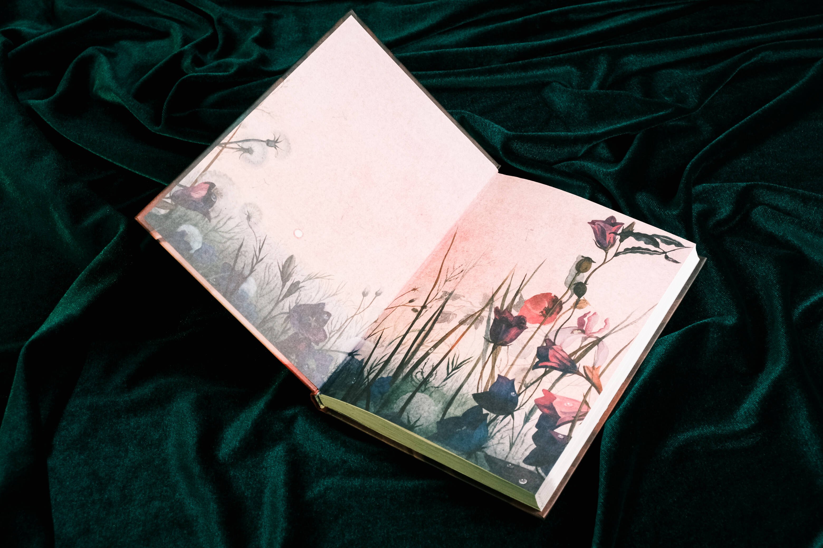 Изображение бумажной книги