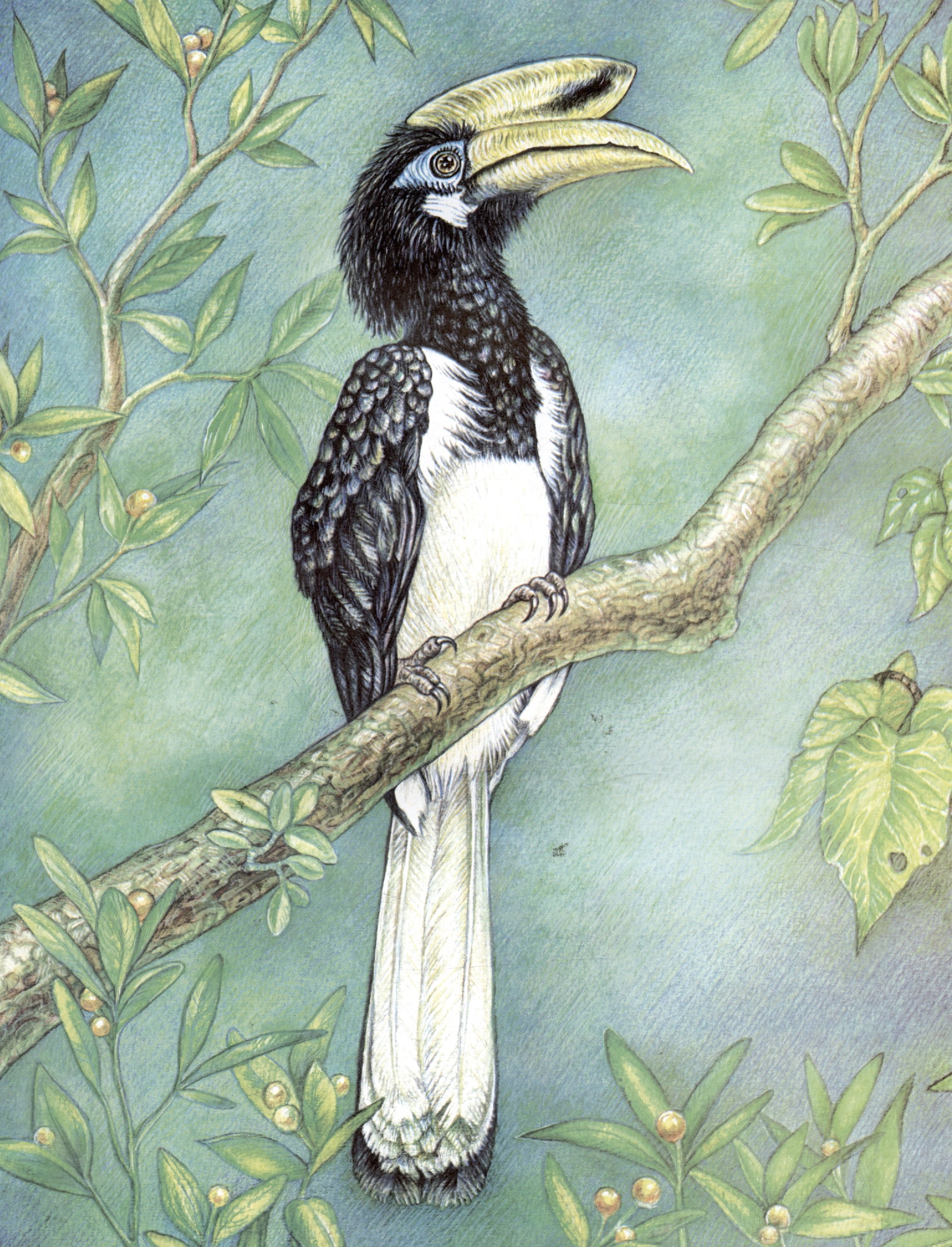 Изображение бумажной книги