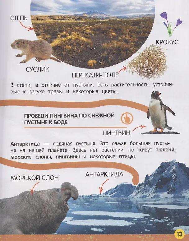 Книга Моя большая книга о природе (Елена Миронова) — 5