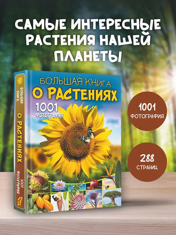Книга Большая книга о растениях. 1001 фотография (Анна Спектор, Дмитрий Медведев) — 4