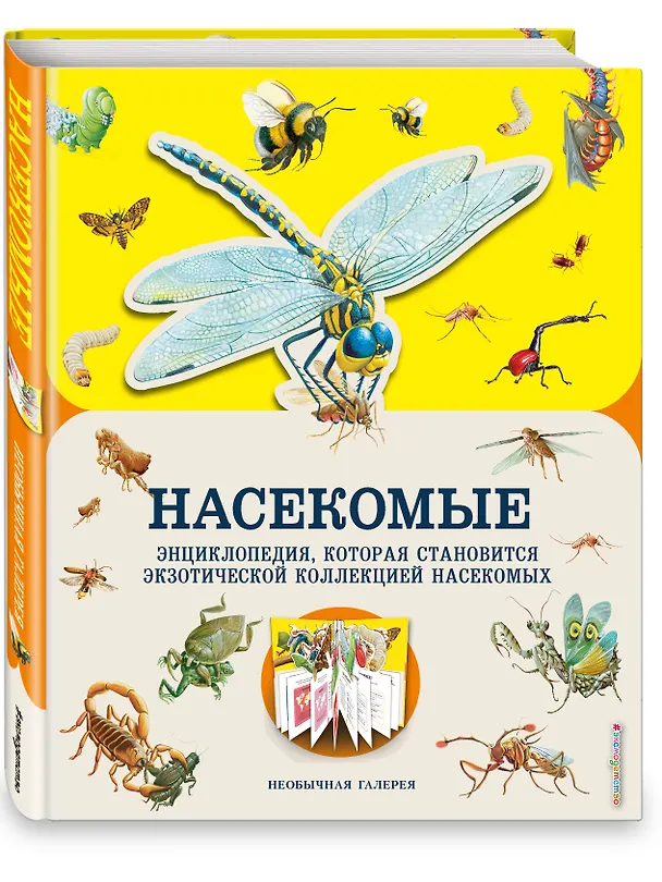 Книга Насекомые (Мелани Гибберт) — 4
