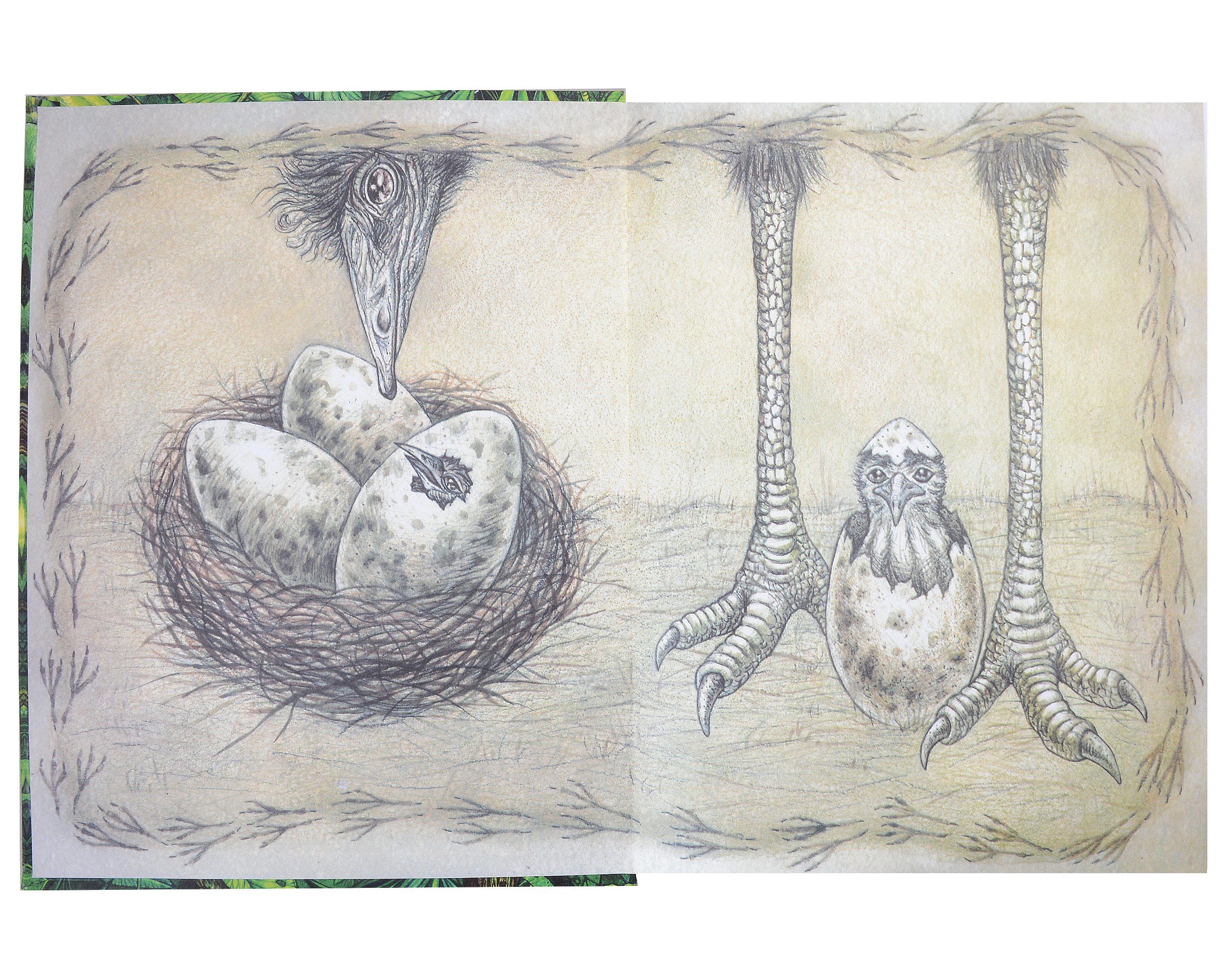 Изображение бумажной книги