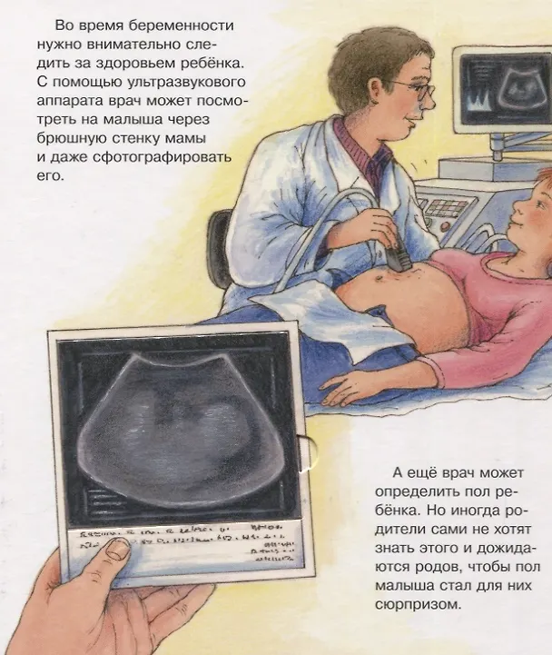 Книга Что? Почему? Зачем? Малышу. Наш малыш (с волшебными окошками) () — 3