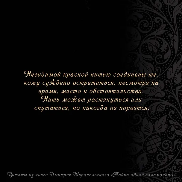 Книга Тайна одной саламандры (Дмитрий Миропольский) — 6