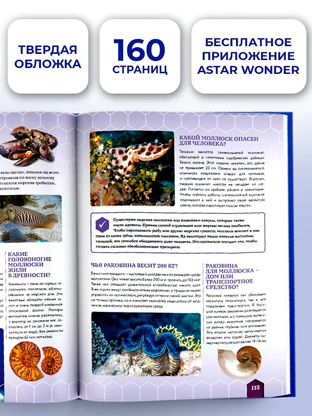 Книга Большая книга почему (Дарья Ермакович, Дмитрий Кошевар, Анна Спектор, Андрей Мерников, Вячеслав Ликсо, Елена Хомич) — 7