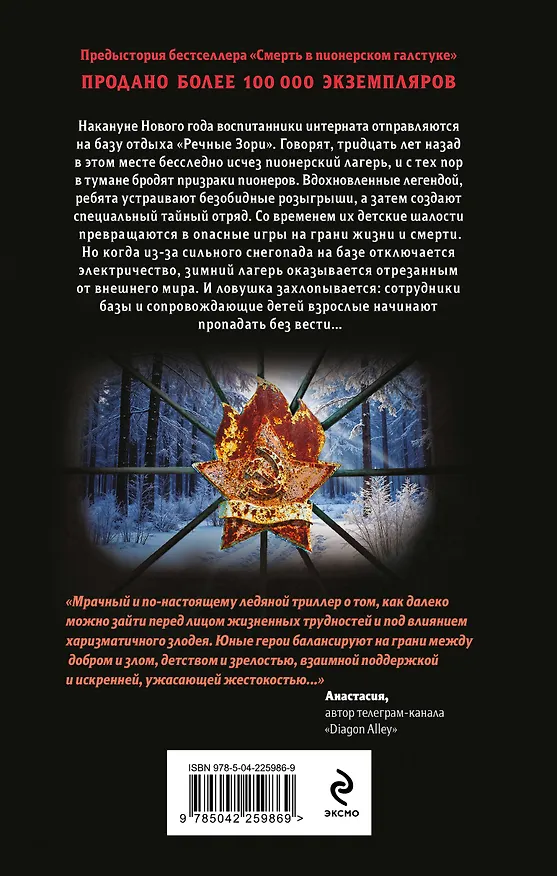 Книга Комплект из 3 книг (Смерть в пионерском галстуке. Пионерская клятва на крови. Зимняя смерть в пионерском галстуке. Предыстория) (Эльвира Смелик, Екатерина Горбунова) — 17