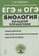 ЕГЭ и ОГЭ. Биология. Большой справочник — 2865421 — 1