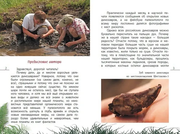 Книга Как откопать своего динозавра (Дмитрий Григорьев) — 2