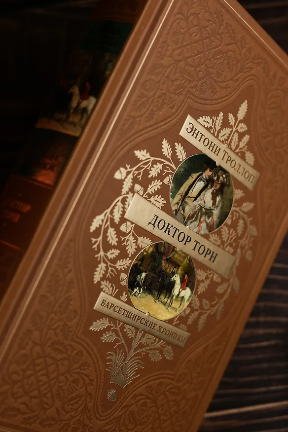 Книга Барсетширские хроники. Книга 2. Доктор Торн (Энтони Троллоп) — 12