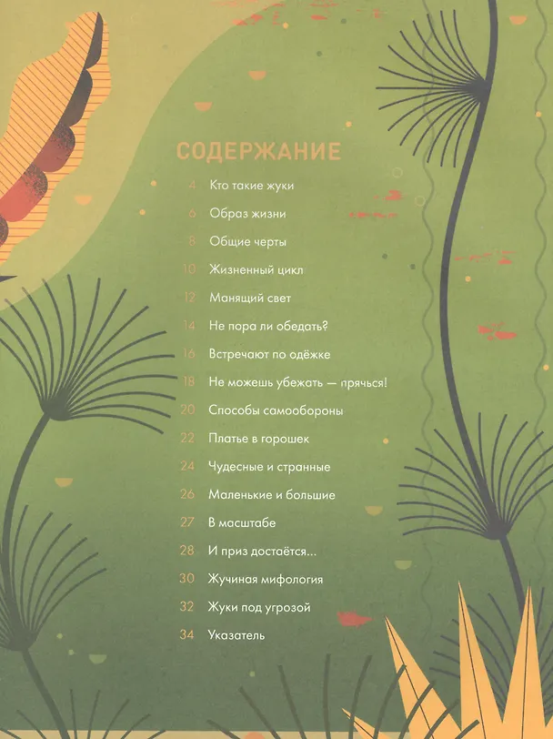 Книга Без ума от жуков (Оуэн Дэйви) — 3