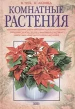 Комнатные растения — 52008 — 1