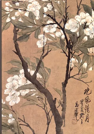 Тетрадь нелинованная "Белые цветы на коричневом фоне", B5, 32 листа 2970609