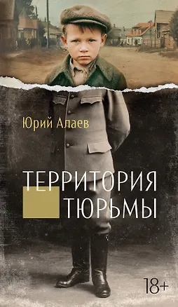 Книга Территория тюрьмы (Юрий Алаев)