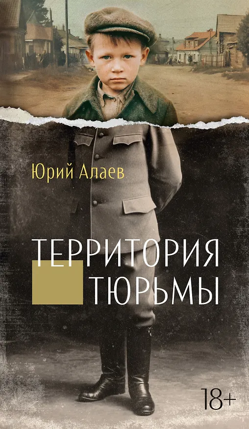 Книга Территория тюрьмы (Юрий Алаев) — 1