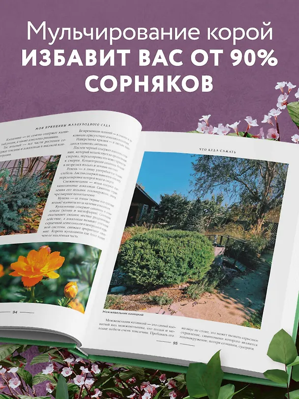 Книга Секреты малоуходного сада. Как создать дизайн участка с неприхотливыми декоративными растениями (Татьяна Селезнева) — 8