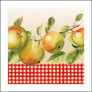 Салфетки Daisy бум. сервиров. Яблоки (SDOG001801) (33х33) (20шт) (3сл)