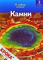 Книга Камни (Дениз Райан)