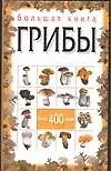 Книга Большая книга. Грибы (Н. Макарова) — 1