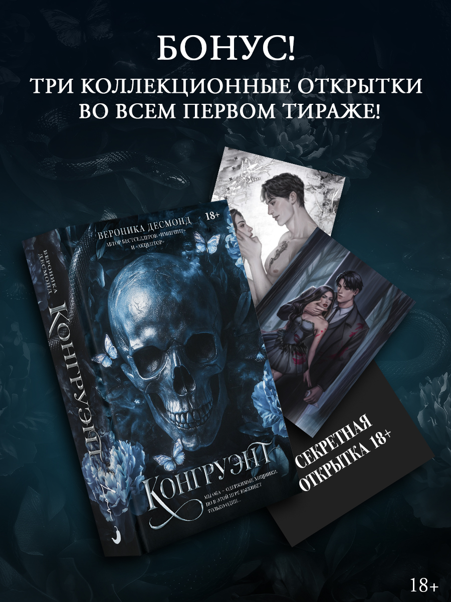 Обложка книги «Конгруэнт. Комплект с лимитированным мерчом»