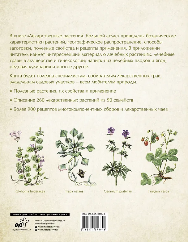 Книга Лекарственные растения. Большой атлас (Николай Сафонов) — 2
