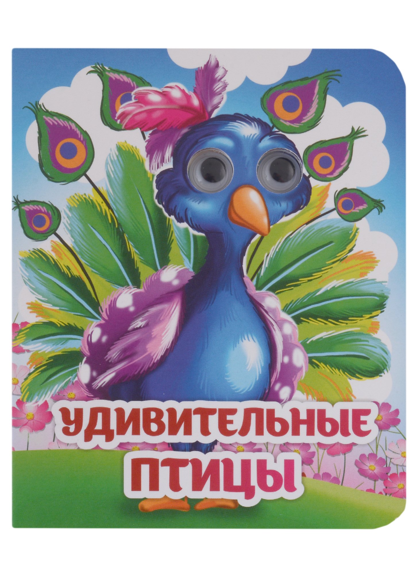 

Веселые глазки. Удивительные птицы