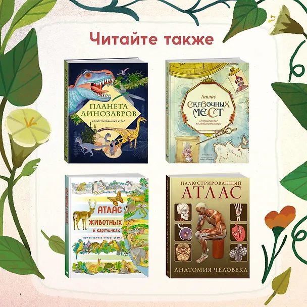 Книга Кто живёт в лесу? Иллюстрированный атлас животных (Алтея Вилла) — 11