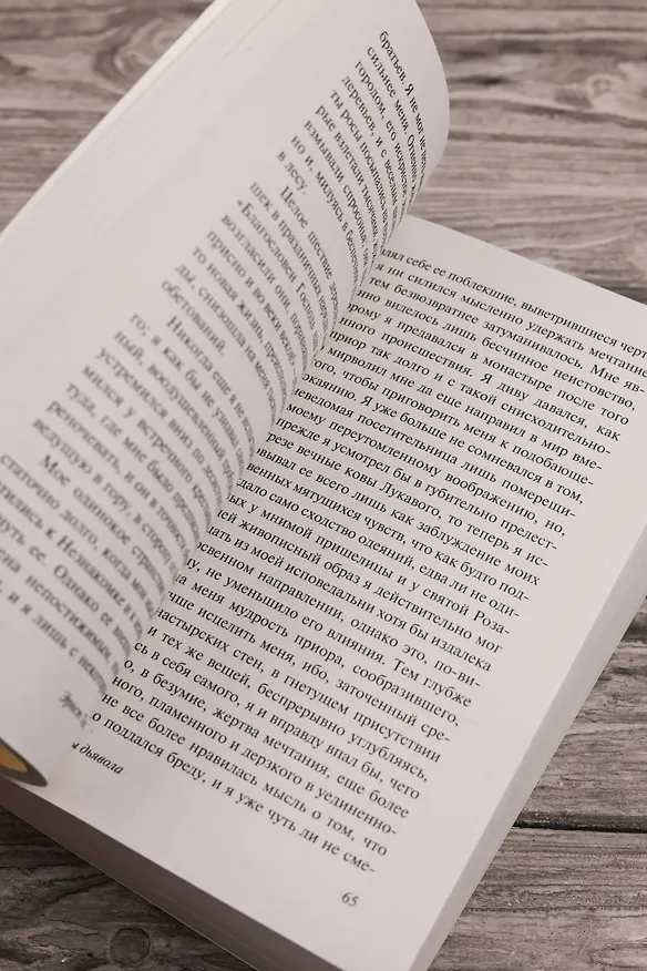 Книга Эликсиры дьявола (Эрнст Теодор Амадей Гофман) — 10