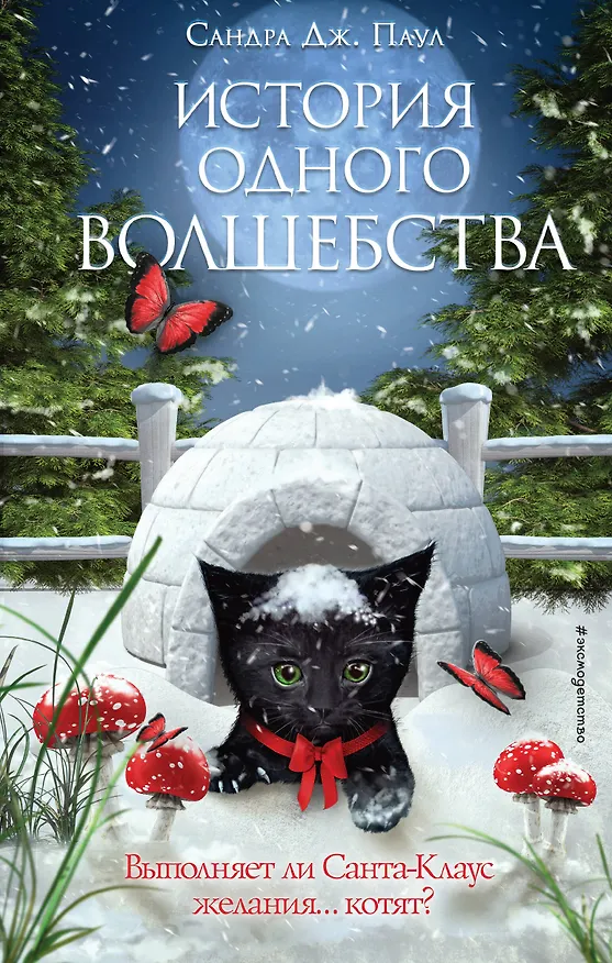 Книга История одного волшебства (Сандра Дж. Паул) — 1